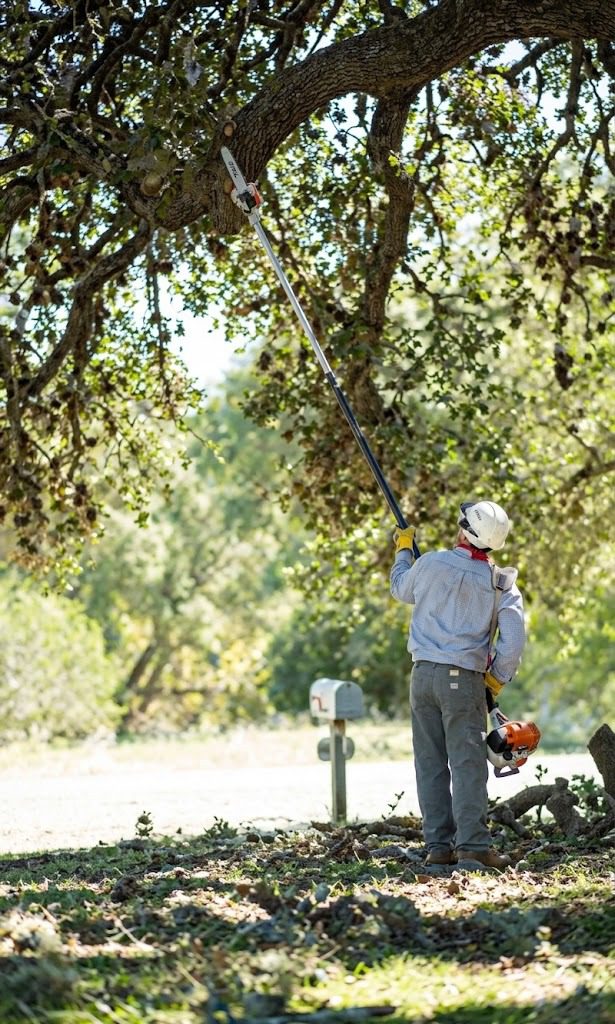 Tree Trimming and Pruning