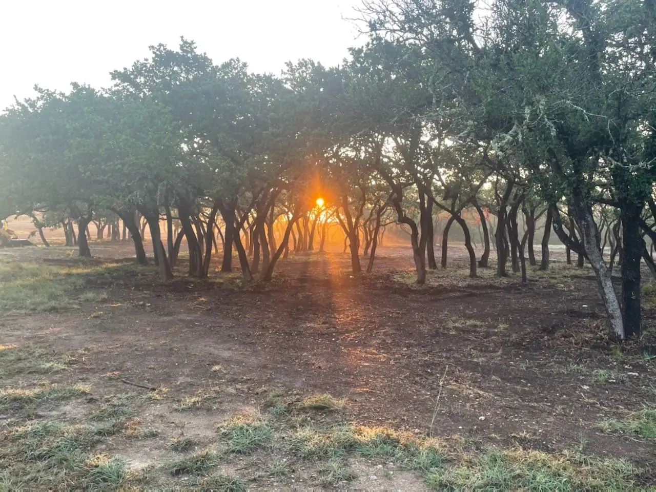 Land Clearing