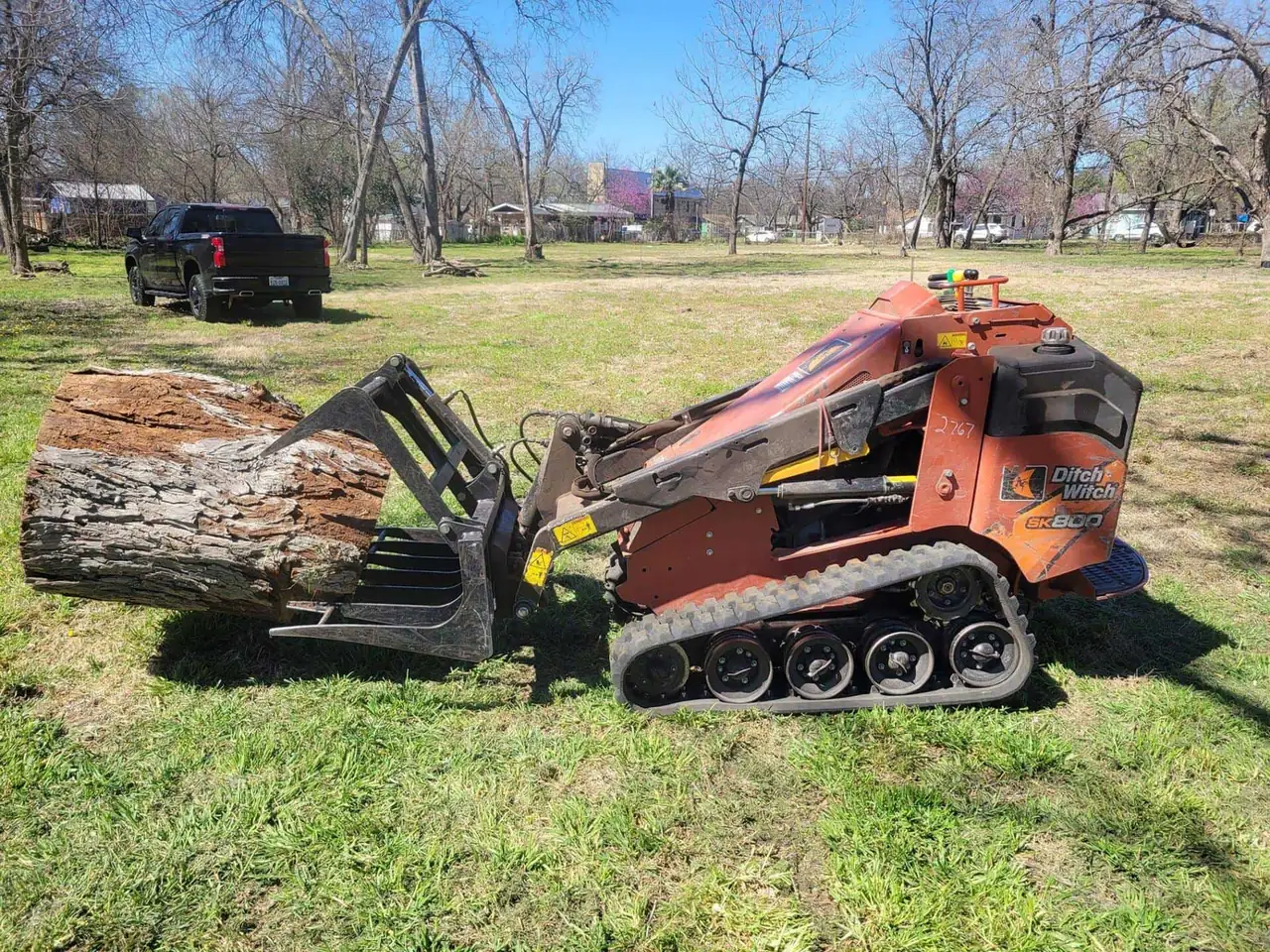 Tree Removal